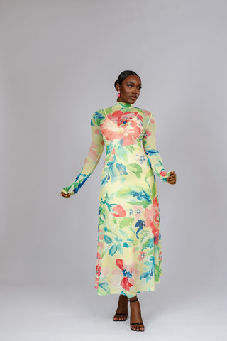 Grace Floral Mesh Dress